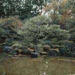Leading Japanese Gardens One Should Visit For A Serene Holiday